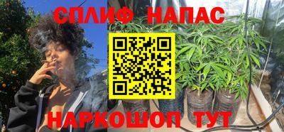 спиды Славгород