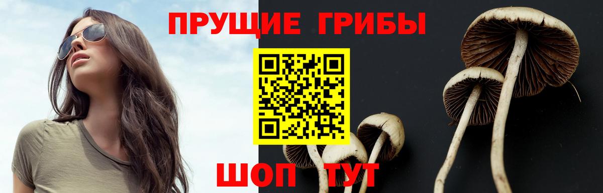 Галлюциногенные грибы ЛСД Нефтеюганск